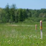 Integrated Vegetation Management (IVM) used to restore prairie habitat on pipeline right of way.