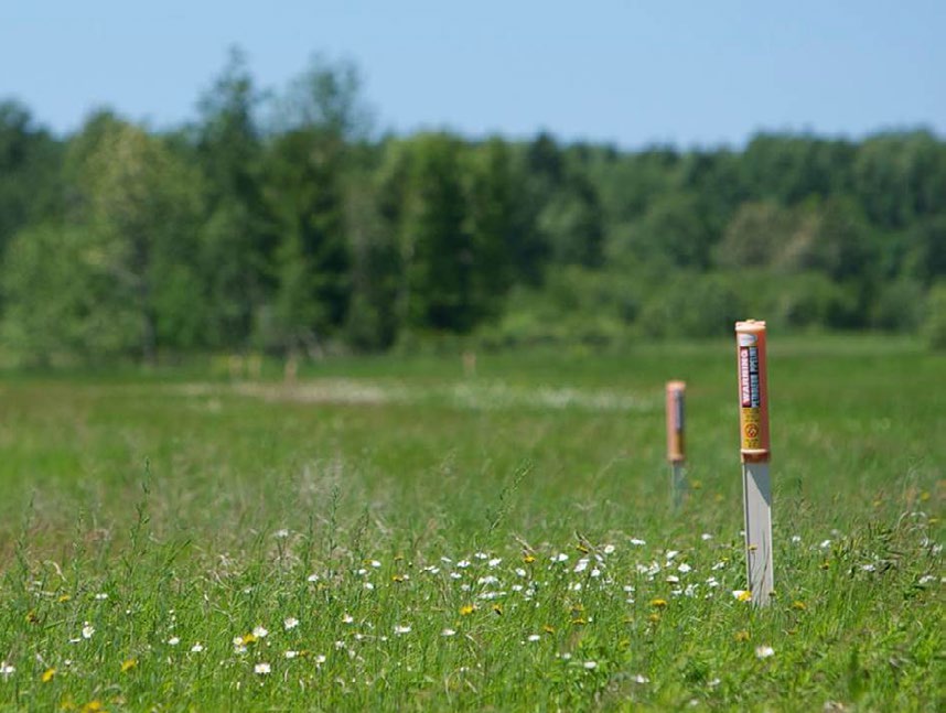 Integrated Vegetation Management (IVM) used to restore prairie habitat on pipeline right of way.