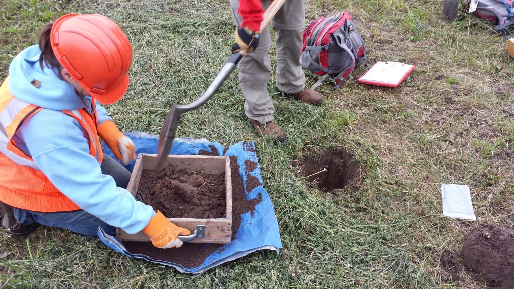 People wearing protective clothing and hard hats digging a small hole and sifting the soil.