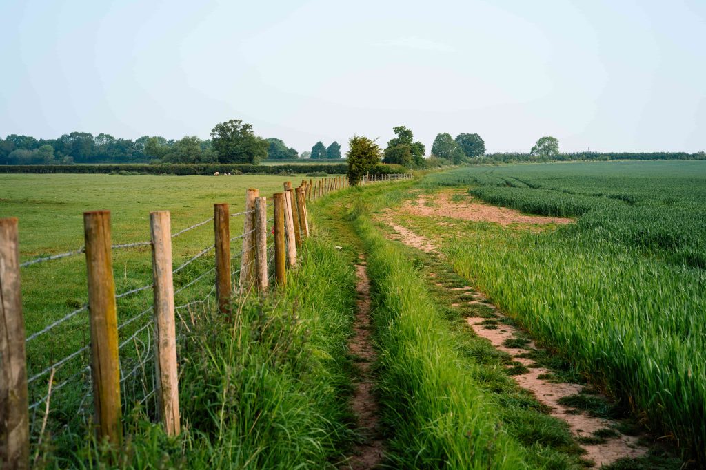 Farm field right of way (ROW) with dirt ruts along barbed wire fence with brown wood posts. Livestock and trees in the distance.
